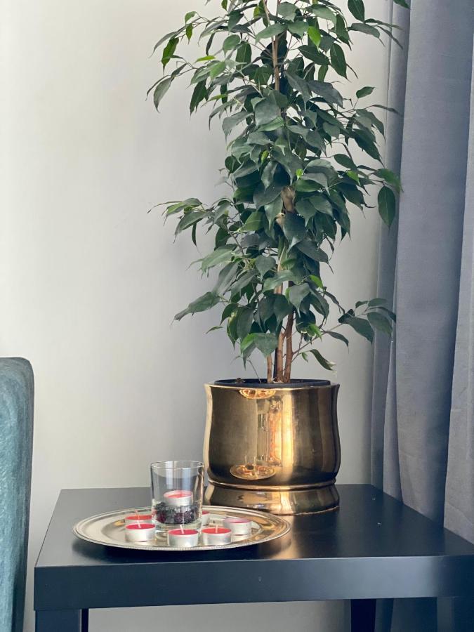 크라쿠프 Apartament Z Widokiem Na Kazimierz/Forum Przestrzenie 아파트 외부 사진